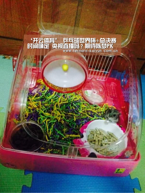 开云体育