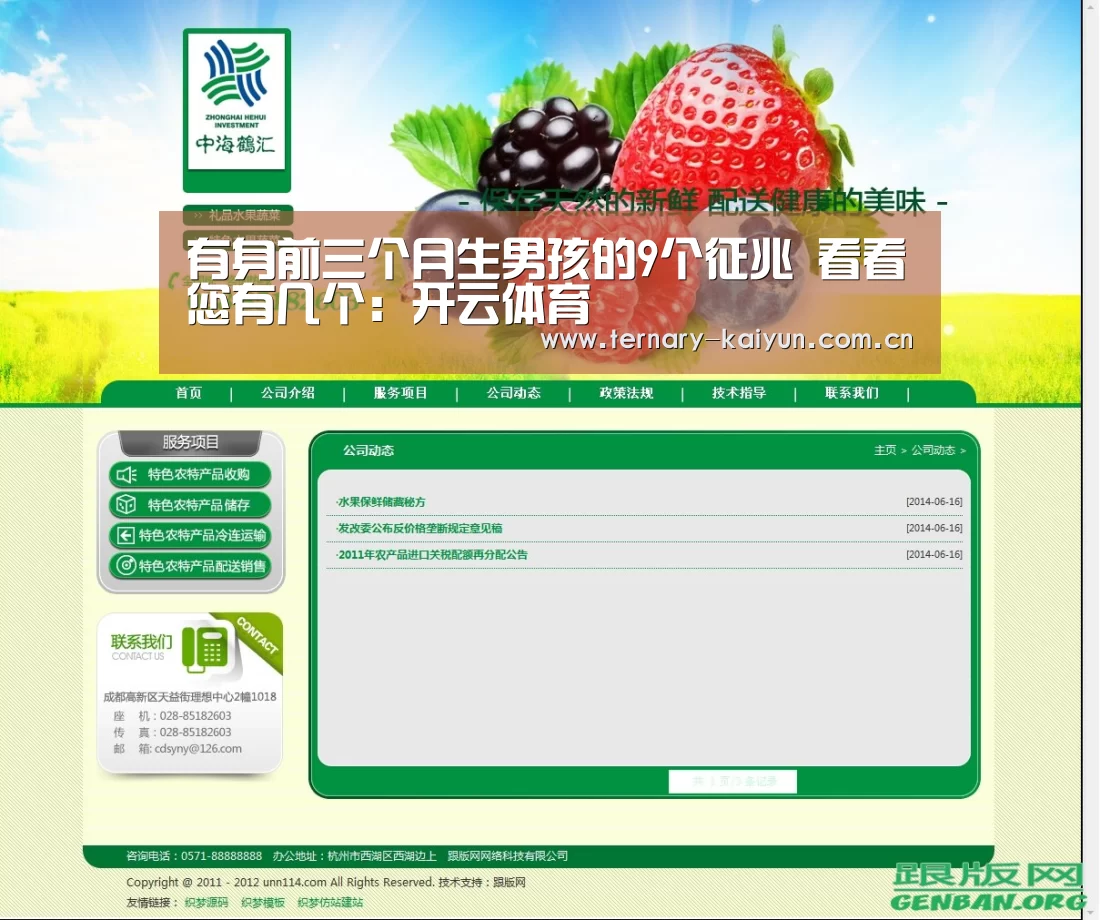 开云体育