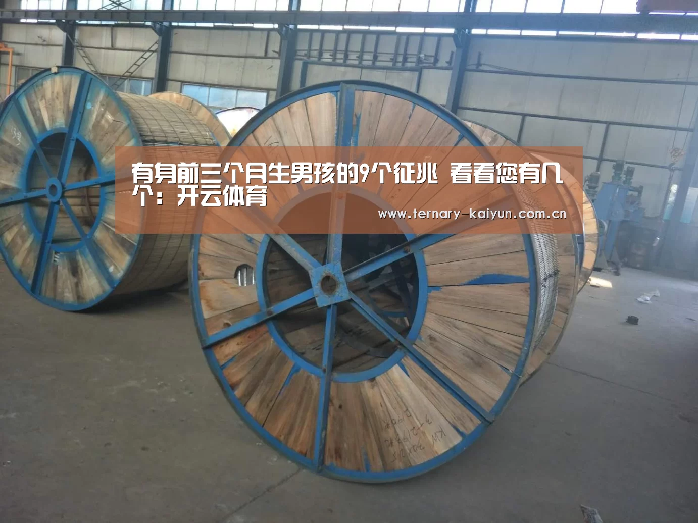 开云体育